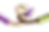 ECHO BG REPLACE.png