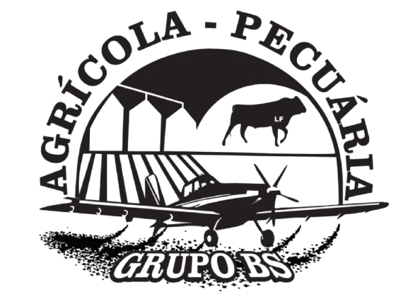 GRUPO_BS_-_RURAL-removebg-preview