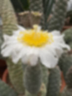 42D9DAB5-1108-4E37-B938-A955C40669D9