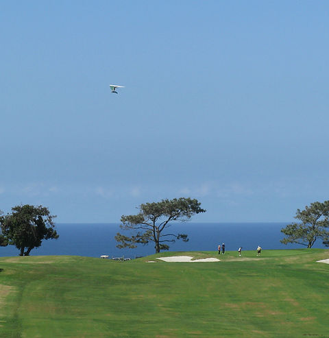 Torrey Pines.JPG