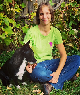 Screenshot 2022-11-14 112719.png