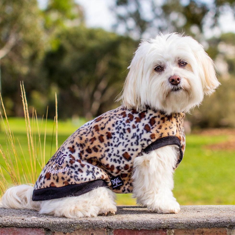 Thumbnail: DGG - DogGone Gorgeous Warmie Coat - Large Leopard Print