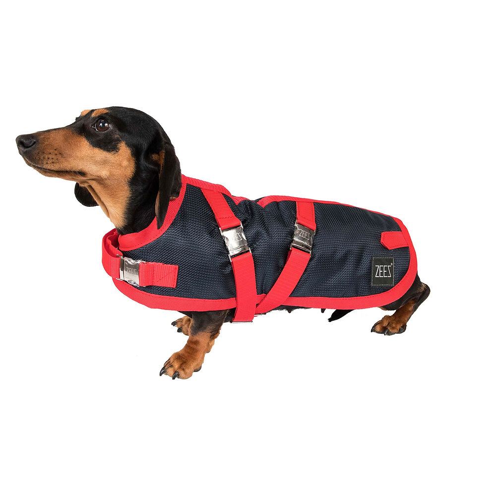 Thumbnail: Zeez Supreme Dachshund Dog Coat - Sizes 15 & 17