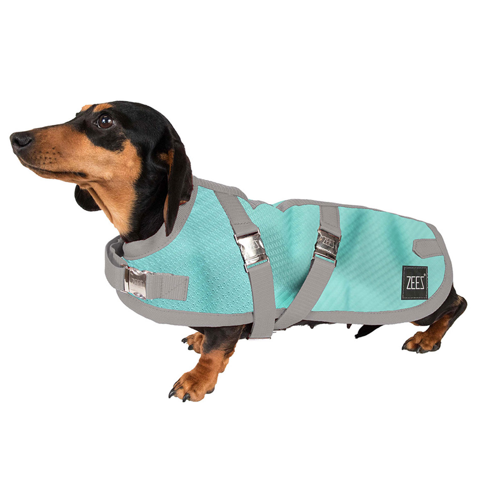 Zeez Supreme Dachshund Dog Coat - Sizes 15 & 17