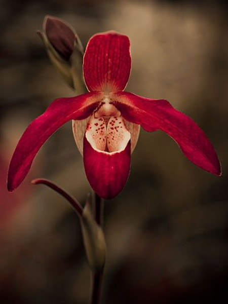 Copy of 45 TFW Posts (10).png