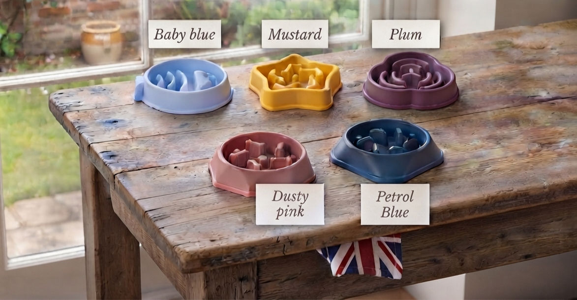 SlowFeeder Cat Bowl - Prevent Vomiting & Aid Digestion