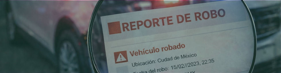 Lupa revisión de historial vehicular_edited.jpg