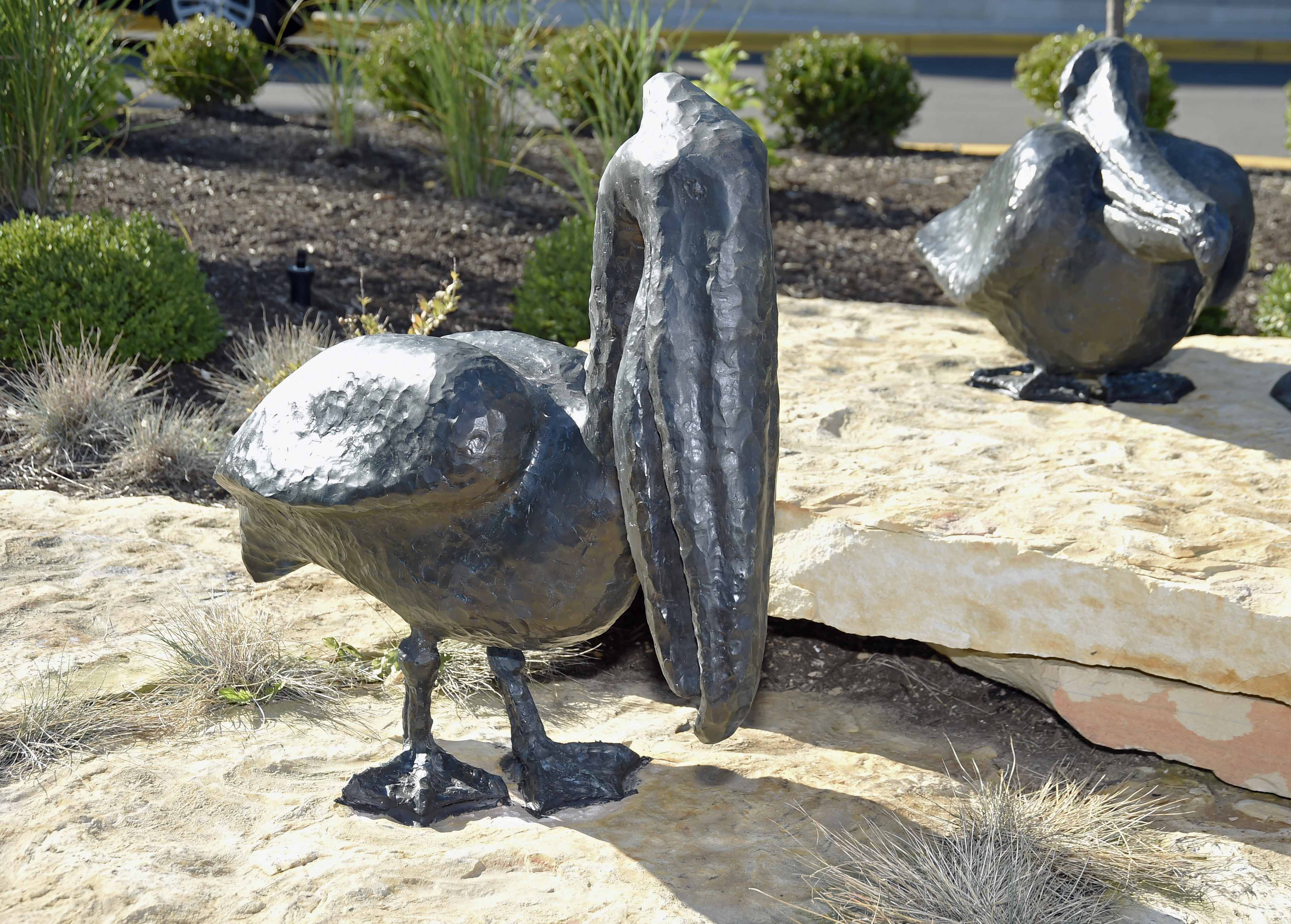 Cast Bronze Pelicans