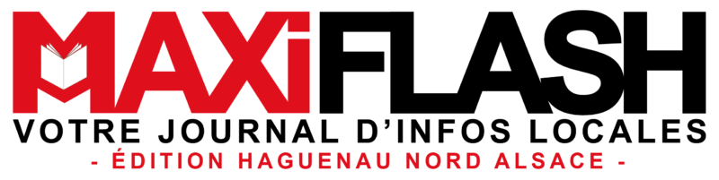 Logo MAXI FLASH, livre rouge,  lecture numérique