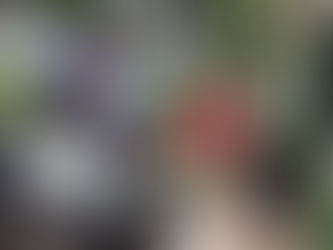 Más de 31 mil productores recibieron Bono de Solidaridad Productiva para ciclo de primera