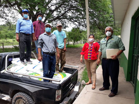 Más de 31 mil productores recibieron Bono de Solidaridad Productiva para ciclo de primera