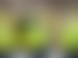 Cementos Argos celebra 40 años de trayectoria y de aportar al crecimiento de Honduras