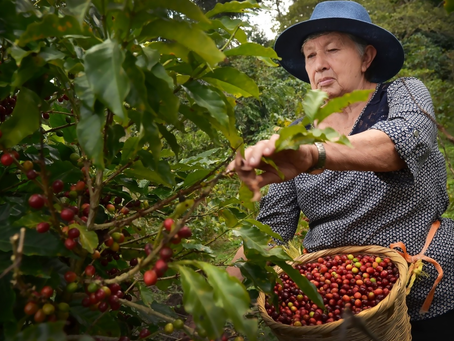 Gobierno impulsará MIPYME agrícolas lideradas por mujeres rurales