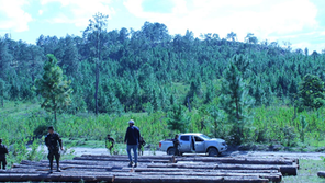 7 áreas protegidas registraron una reducción del 96% en promedio de deforestación tras avances de “Comisión Cero Deforestación al 2029”  