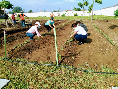 En La Ceiba: Establecen huerto familiar en el Centro Ciudad Mujer