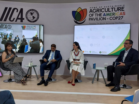 Consejo Agropecuario Centroamericano concluye primera jornada de reuniones oficiales