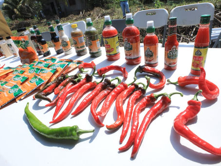 Productores de hortalizas mejoran rendimiento de sus cultivos con sistema de riego