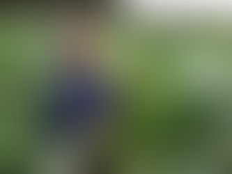 Con Bono Tecnológico: Productores auguran buena cosecha de maíz y frijol