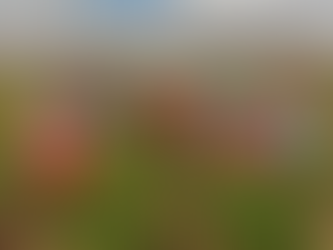 Día Internacional de las Mujeres Rurales