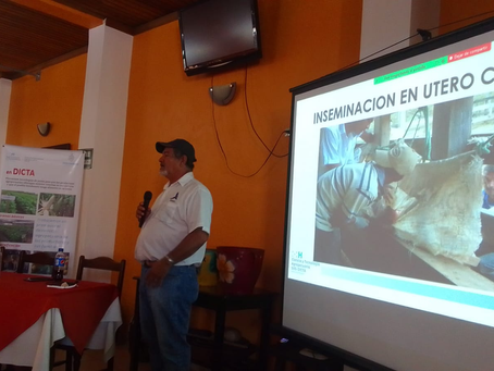 Para elevar nivel genético bovino: Capacitan a productores y estudiantes en inseminación artificial