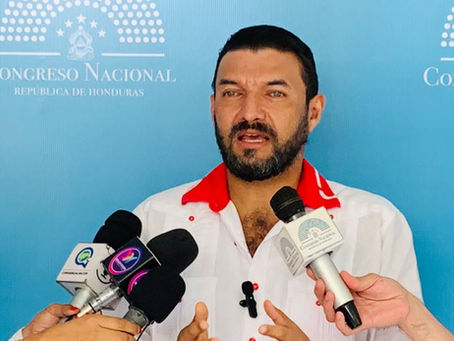 Rasel Tomé:El decreto de amnistía para las víctimas del Golpe de Estado es preciso,oportuno,adecuado