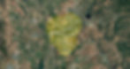map2.jpg