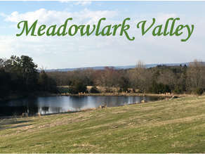 Welcome to our Webpage!