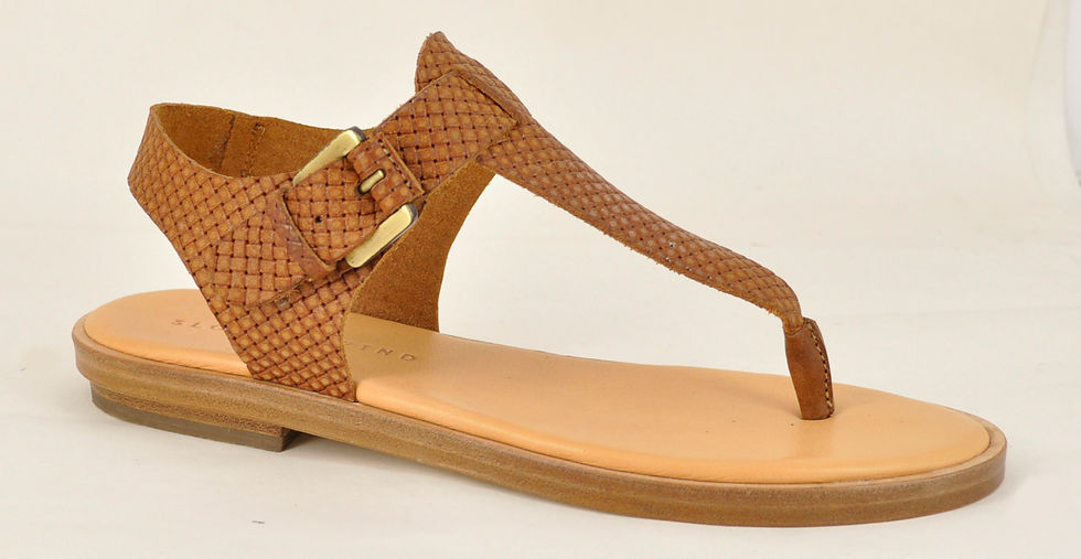 PATRICIO OLIVA PALIO