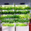 Thumbnail: Hydroponic Minifarm
