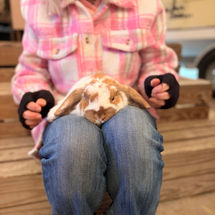 Real FarmHERS  winter Cuddle Barn private experience woman with bunny