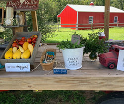 67773158_2368551363429594_41331073904111