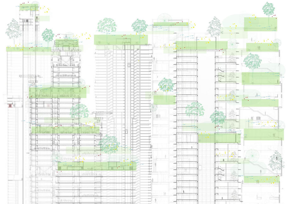 Opinion 19: The Second Ecology