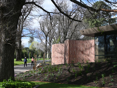 Spotlight 19: Yiaga by Wardle