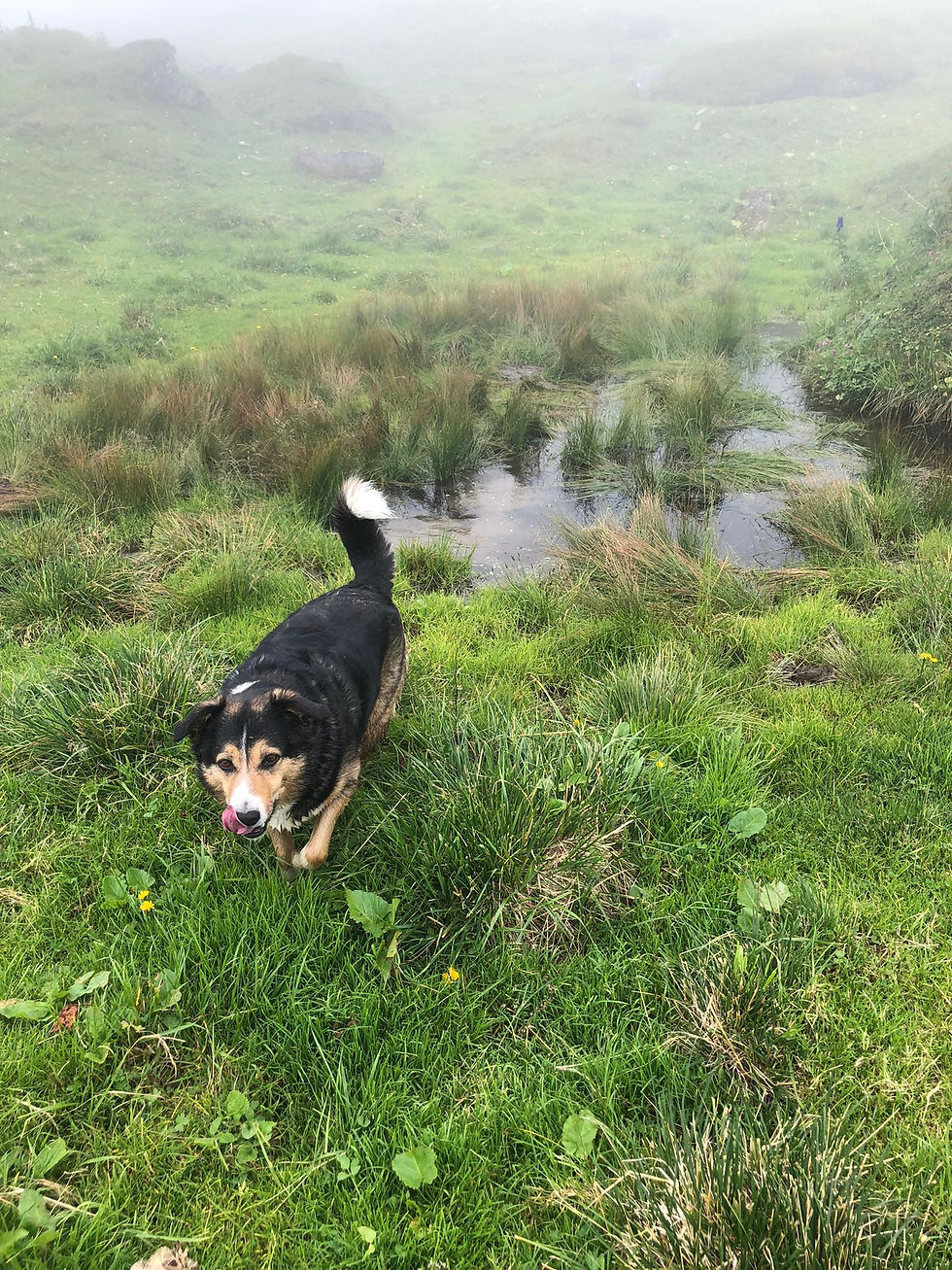 Max