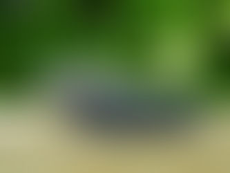 Slice through Energy Drains with Cord Cutting!