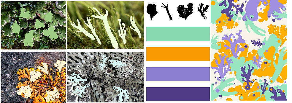 lichen(long) -11.jpg
