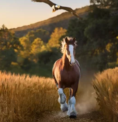 (WATCH) Budweiser Unveils Super Bowl Commercial