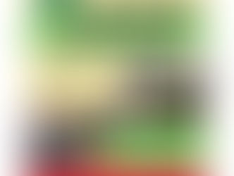 Clayton County 4-H Omelet Brunch and Silent Auction will be held on Sunday, March 8th