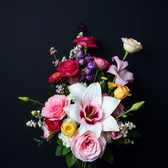 Lois Jean Schnuelle of Castalia