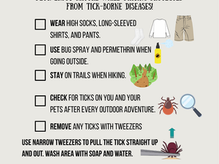 Crawford County Health Department Encourages all residents To Look Out for Ticks 