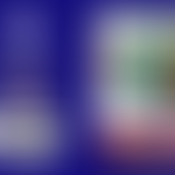 Erin Cubbon - Allamakee Conservation Hike