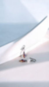 Rose Quartz - Loving + Soothing + Healing 💫