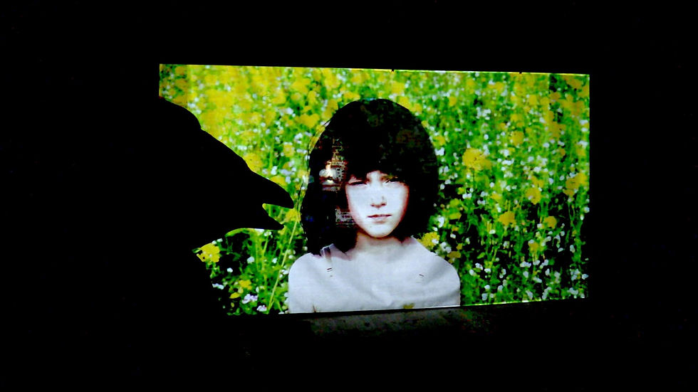 Video- ja teatteriesitys/Video & Theatre performance