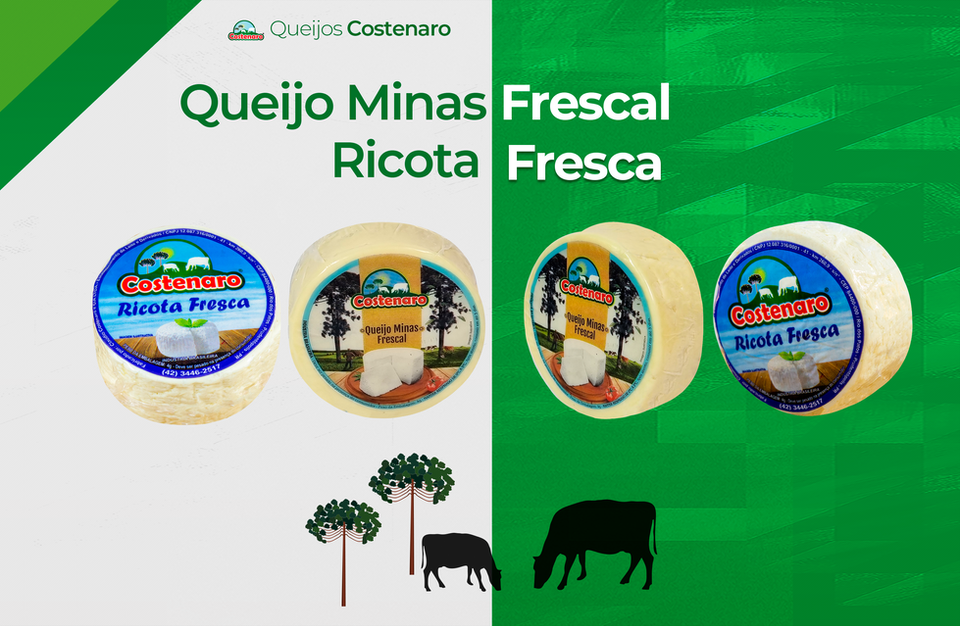 QUEIJO minas e ricota.png