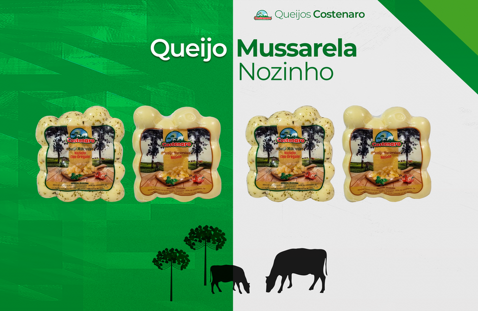 QUEIJO nozinho.png