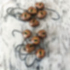 DISCO AUTUMN Lizard (5 pack)