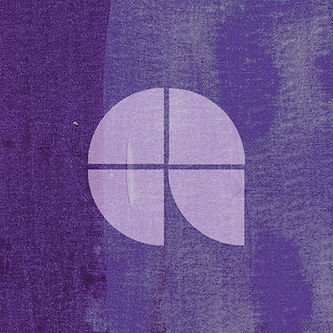CARECvisual6.jpg