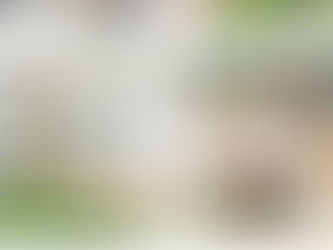 On vous dévoile enfin notre vision pour nos salles thématiques