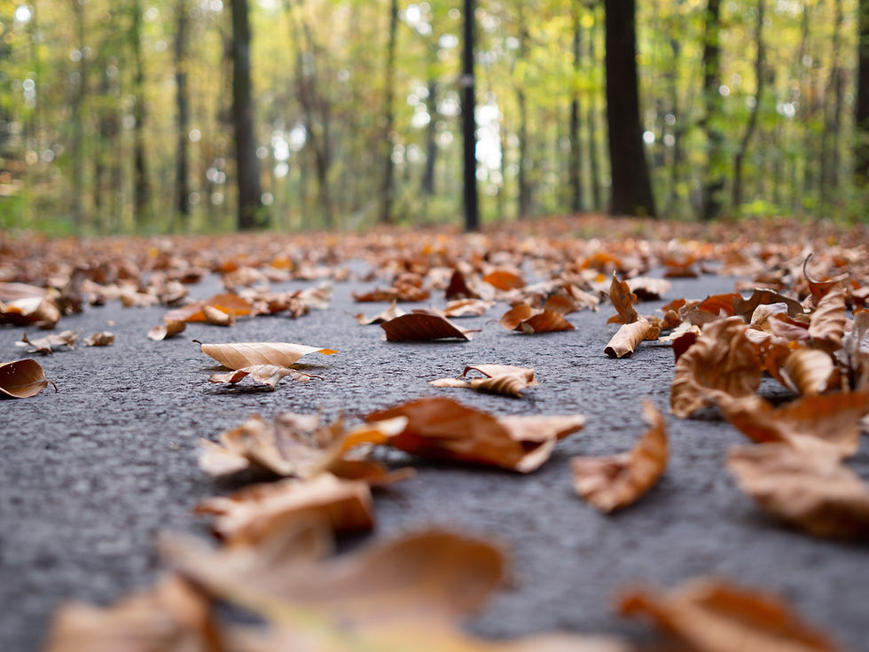 Is Your Business Ready for Fall Storms? Insurance Tips for Weather-Related Damage
