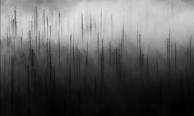 15666178401_e673250ecc_o (1).jpg